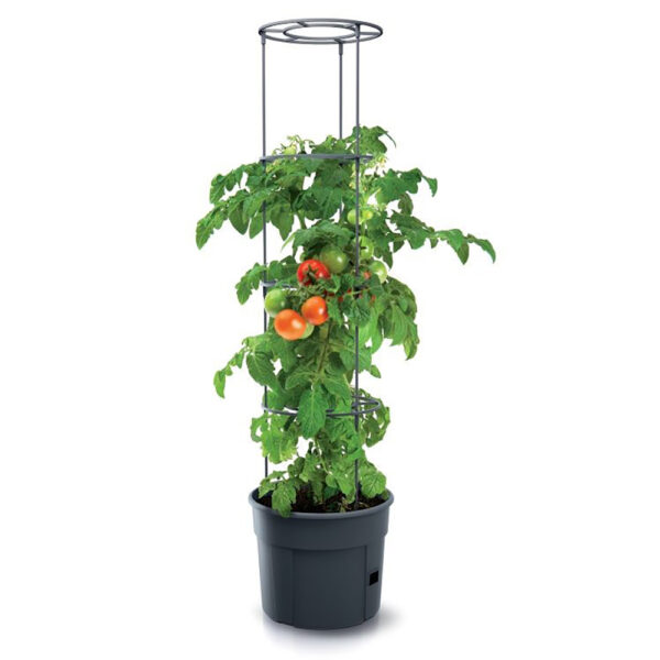 Kvetináč na pestovanie paradajok TOMATO GROWER